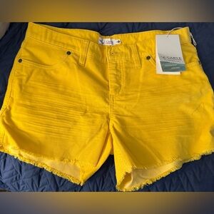 NWT Carve designs corduroy shorts